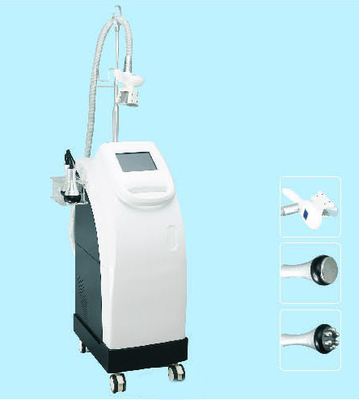 Fat Frozen Cryolipolysis Machine 
