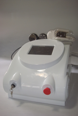 Fat Frozen Cryolipolysis Coolsculpting Machine For Belly , Back Fat Reduction