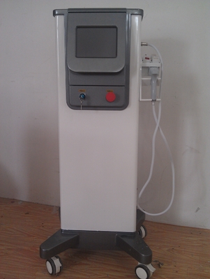 Hot Maggie RF Skin Rejuvenation Machine With 8 Inch Screen Gray Chassis
