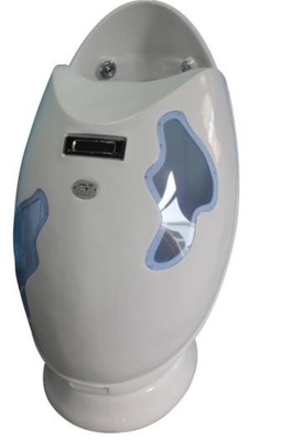 Oxygen Ions Aromatherapy Steam Infrared SPA Capsule Spectrum Systemic