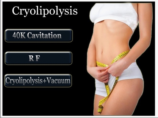 Vertical Cryolipolysis Machine Frozen Fat Dissolving Instrument