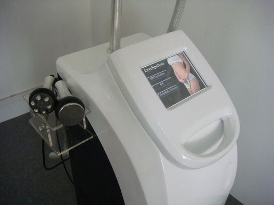 Coolsculpting Freezing Fat Cryolipolysis Machine Leg , Arms Fat Removing